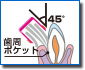 ブラシ部分が歯垢などを掻き出して