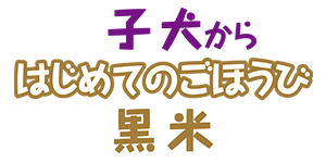 飼い主様と愛犬が一緒に食べる自然栄養せんべい。 ― わんべい ―