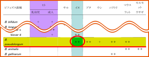 ヒトならび動物別ビフィズス菌種の分布図