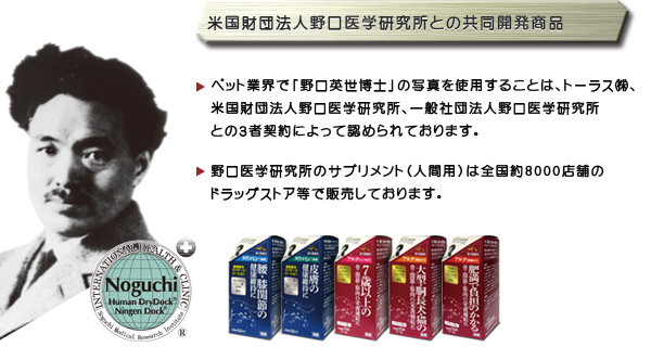 「野口英世博士」の写真が目印です。