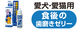 食後の歯みがきゼリー