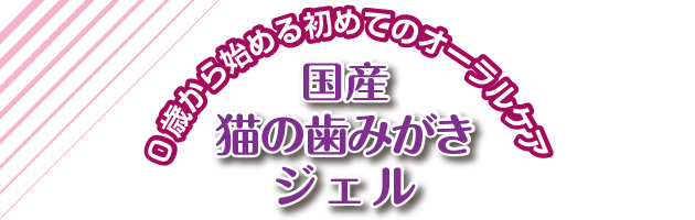 国産猫の歯みがきジェル