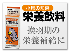 小鳥の知恵 栄養飲料