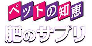 直接塗るマッサージローション